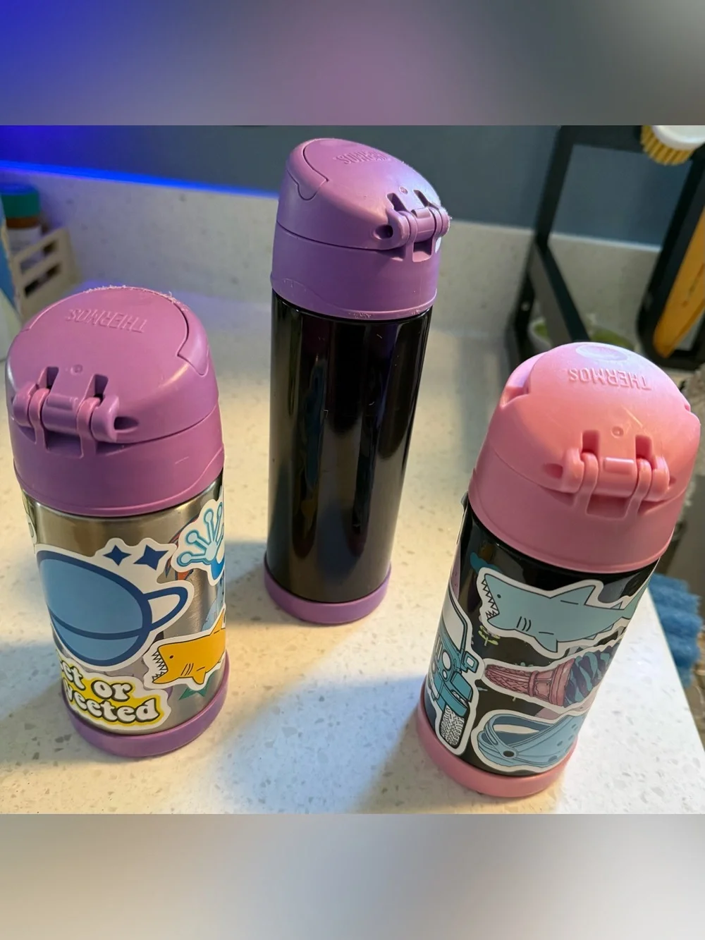 Thermos Kids Stainless Steel Insulated Bottles